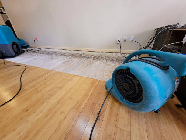 Professional Emergency Water Damage technician working in Norway, ME